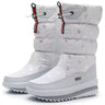 White – Snow