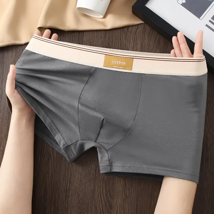 Classic cotton everyday boxer shorts for men | Cotton Theory -3