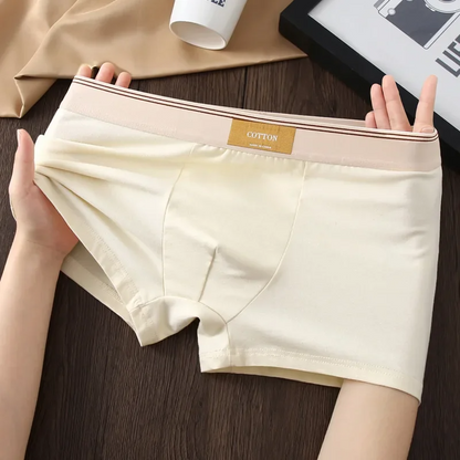 Classic cotton everyday boxer shorts for men | Cotton Theory -7