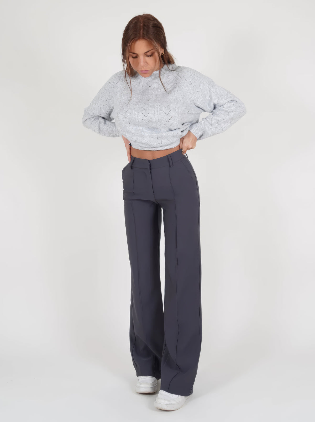 Audrey | Women's High Waist Wide Leg Pants with Front Seams