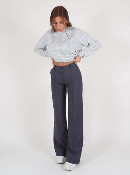 Audrey | Women's High Waist Wide Leg Pants with Front Seams